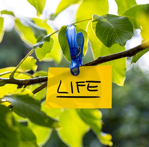 Your Luminous Present: 4 Weeks of Waking Up to Your Life in Writing ...